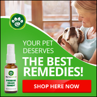 homeopathy for dogs