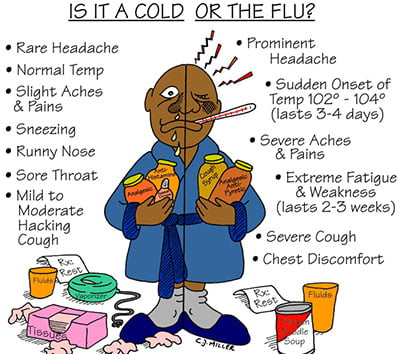 cold vs flu symptoms